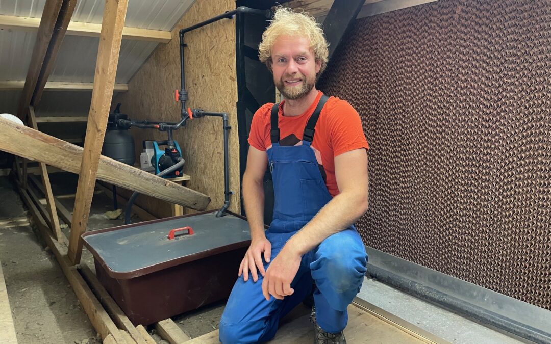 Cool-Pad – eine sinnvolle Investition